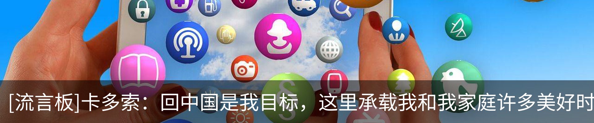 新闻动态